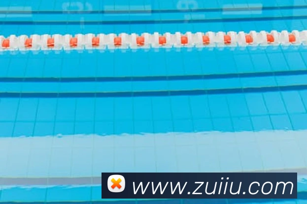 世界杯官方入口服务体系